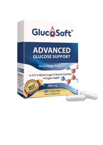 GlucoSoft fénykép